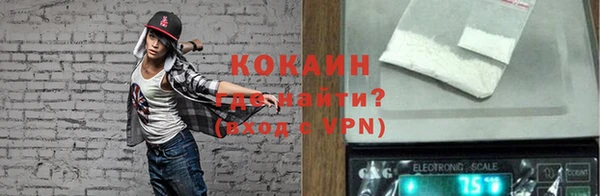 хмурый Абаза