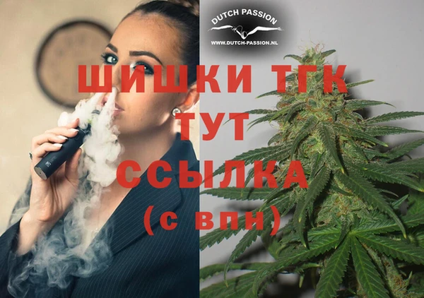 гашик Пестово