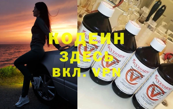 хмурый Абаза